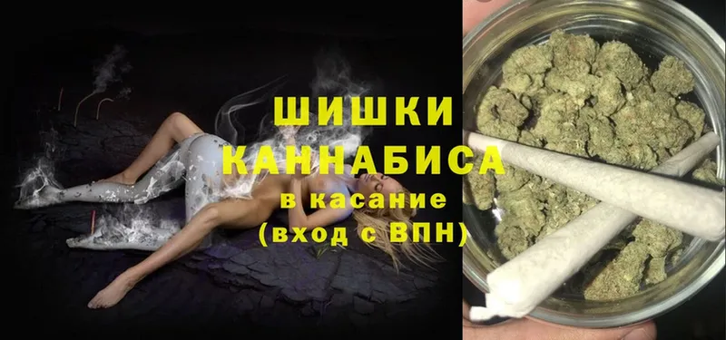 Канабис OG Kush  Гатчина 